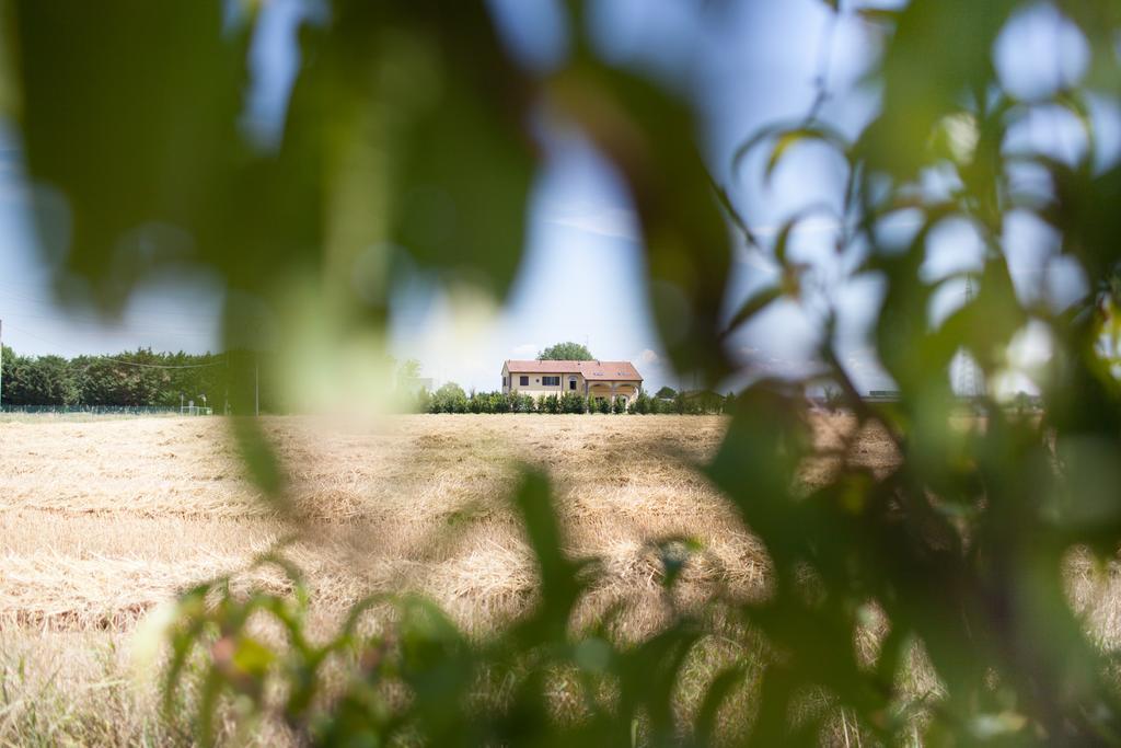 Гостевой дом Agriturismo Il Mondo Парма Экстерьер фото